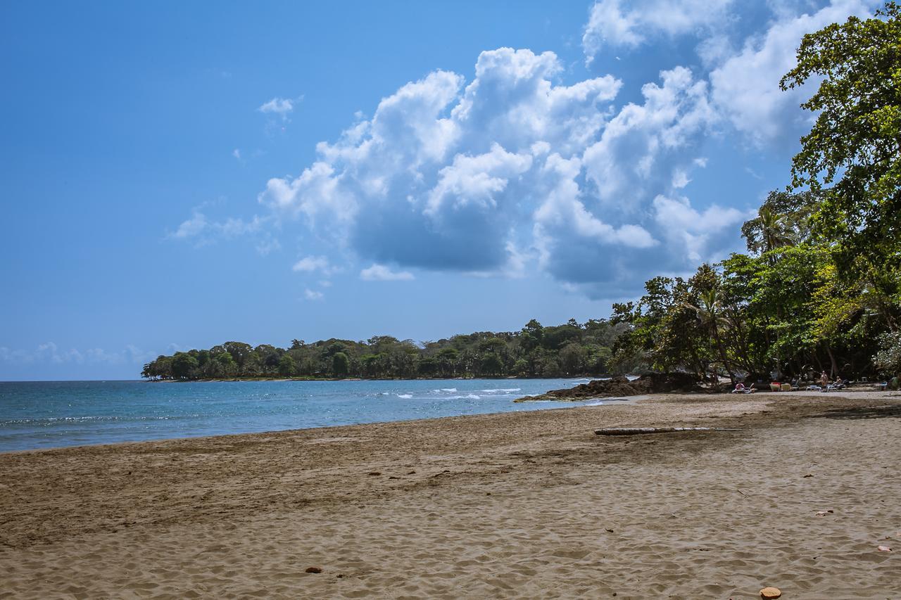 Lapalapa Beachfront Hotel Puerto Viejo de Talamanca Kültér fotó