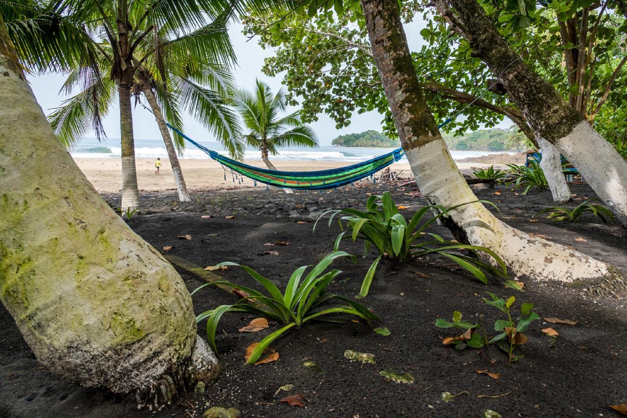 Lapalapa Beachfront Hotel Puerto Viejo de Talamanca Kültér fotó