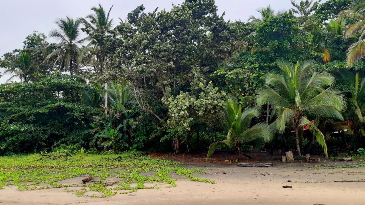 Lapalapa Beachfront Hotel Puerto Viejo de Talamanca Kültér fotó