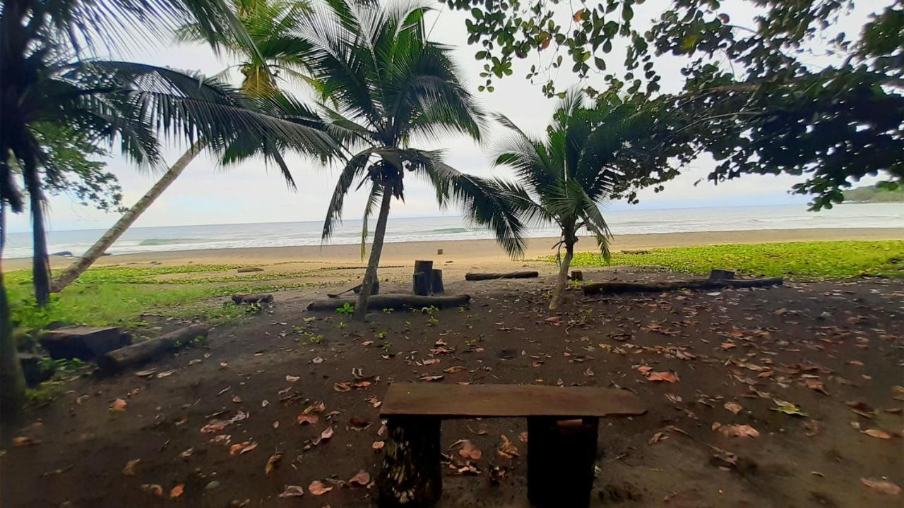Lapalapa Beachfront Hotel Puerto Viejo de Talamanca Kültér fotó