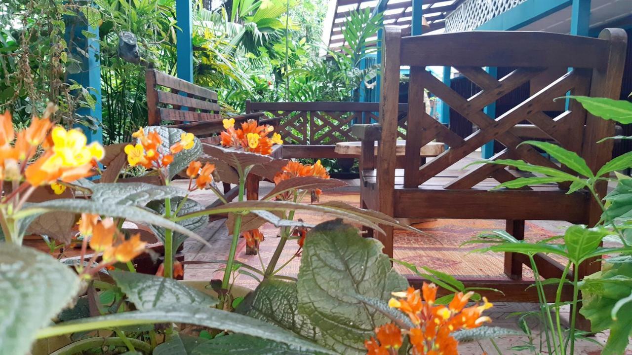 Lapalapa Beachfront Hotel Puerto Viejo de Talamanca Kültér fotó