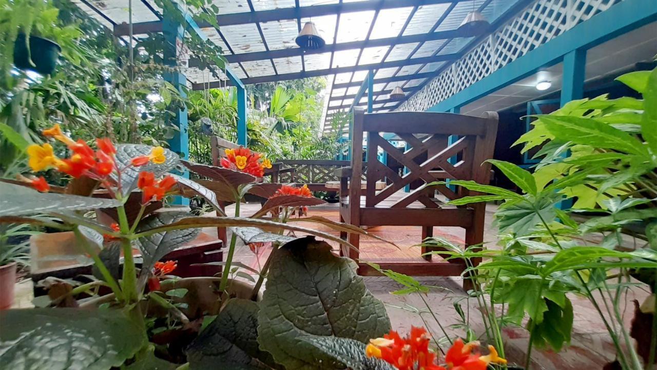 Lapalapa Beachfront Hotel Puerto Viejo de Talamanca Kültér fotó